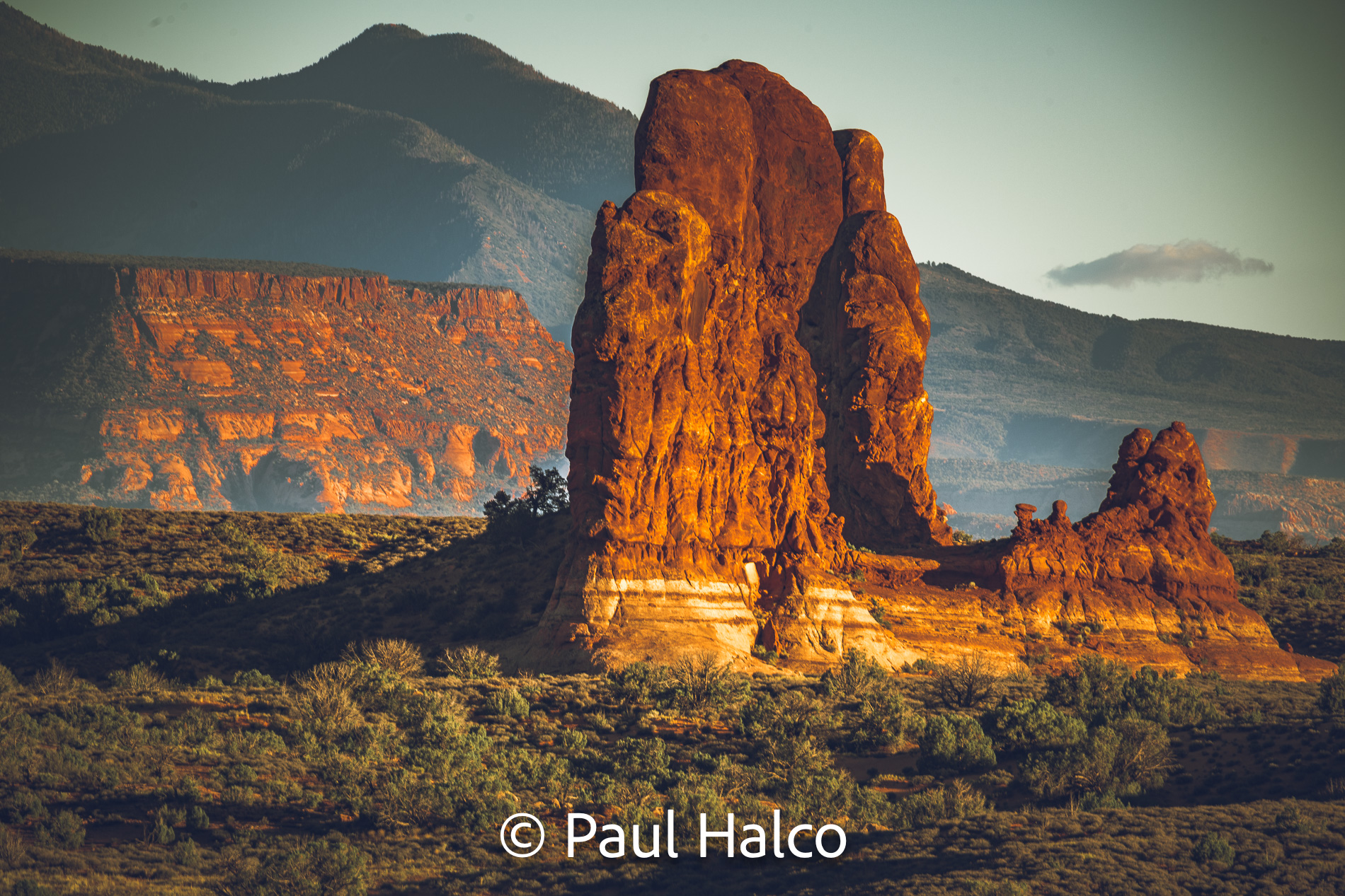 Paul Halco - Arches NP-6